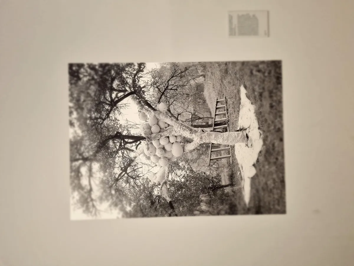 Maria Bartuzova Gallery Image 59
